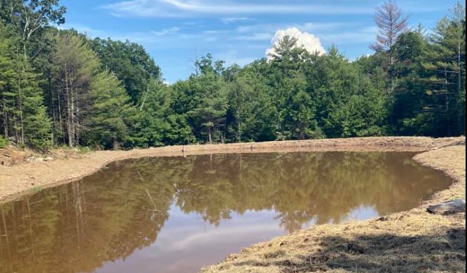 Excavating Your Dream